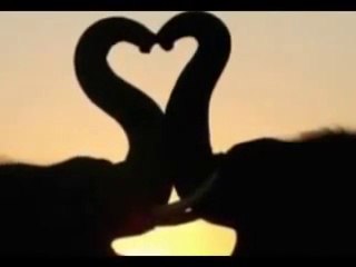 Happy wedding anniversary Nadia & Faraz