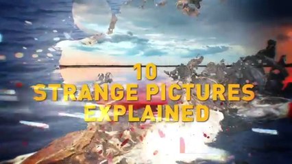 10-Strange-Creature-Photos-Explained