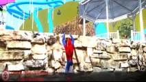 Disney Pixar CARS 2 Rayo #MCQUEEN Ramone Flash Macuin Toy Story Spiderman Songs Nursery Rhymes