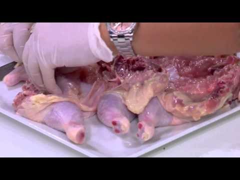 دجاج مبهر | رانيا الجزار