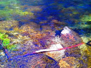 Yosemite National Parck