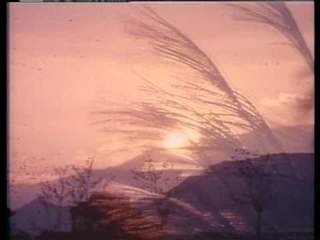 Budak Kacamata - Bebas Macam Burung (Official Music Video)