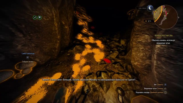 Ведьмак 3 Дикая Охота (Witcher 3) (RU) (3)