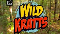 Wild Kratts - Quillers Birthday Present