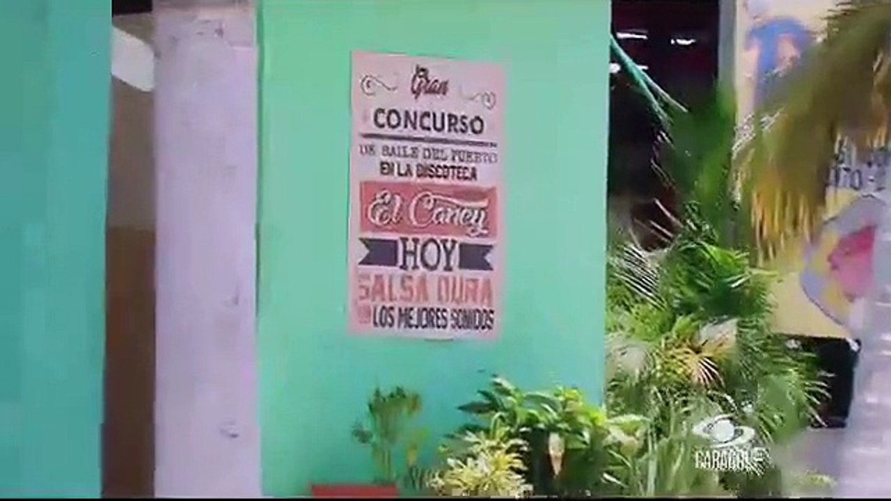 Niche novela cap 4