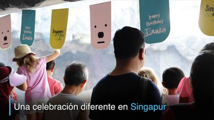 Una torta de hielo para celebrar los 26 años del oso Inuka