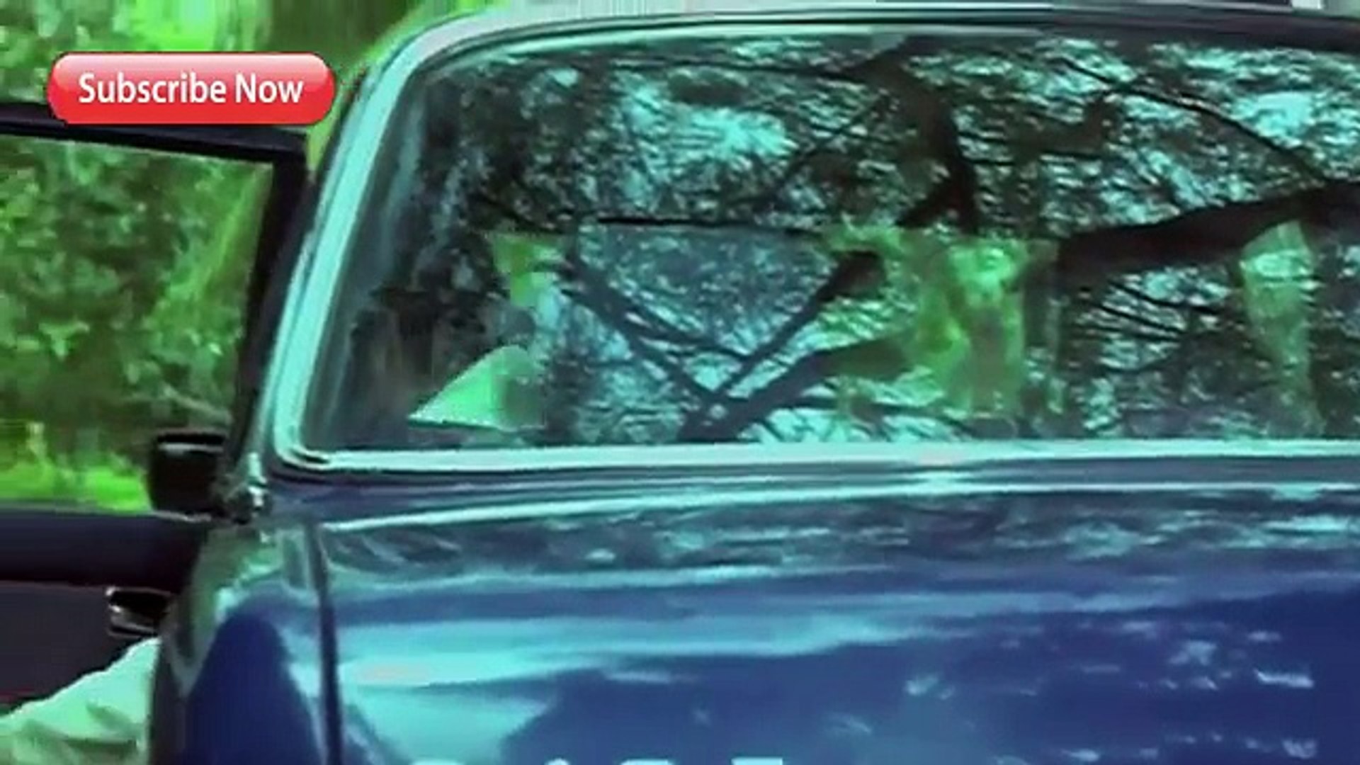 new hindi movies 2015 full movies hd bollywood action - best thriller movies 2015 hindi