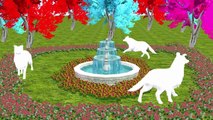 Color Animals Song - Children Nursery Rhymes - 3D Animation Song - Rhymes For Kids Collection