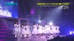 乃木坂46 来年のバースデー・ライブはどうなる？過酷ライブを大胆予想 JCD 2016-12-11
