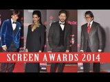 Bollywood Celebs Grace The Screen Awards 2014 Red Carpet