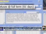 Maricopa County officials OK with shelter aborting unborn puppies
