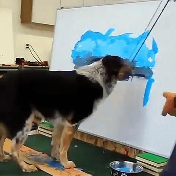 Mon chien est trop fort