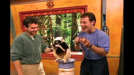 ► Zoboomafoo ► 110   Climbing - Full Episode   Kids TV Shows