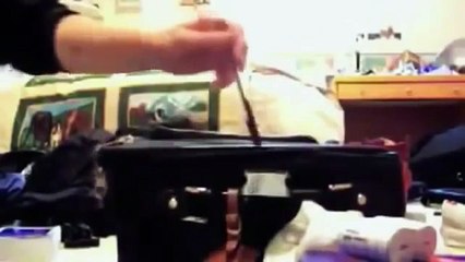 Epic Funny Cats 1 Minutes