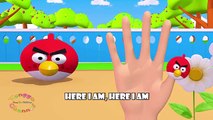 Angry Bird 3D Finger Family | Nursery Rhymes | 3D Animation From TanggoKids Nursery Rhymes