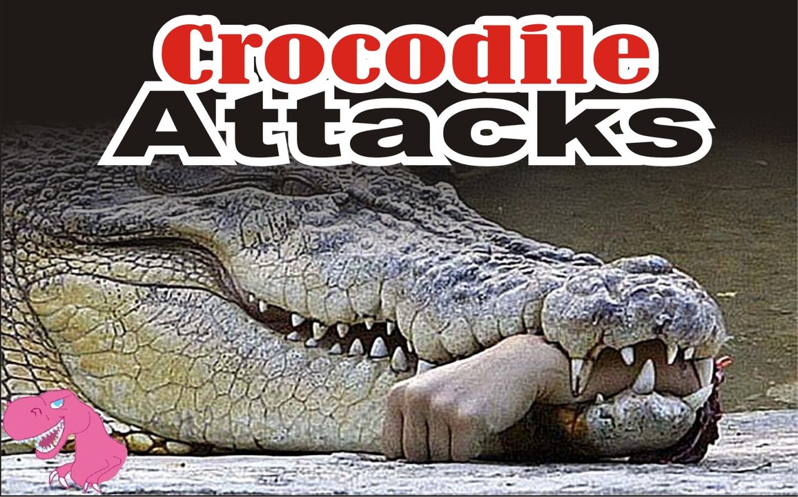 Crocodile Attack shoots