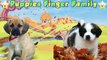 Puppies Dogs - Finger Family Song Collection - Nursery Rhymes Baby Dogs Finger Family for Kids