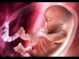 PREGNANCY WEEK 30 II गर्भावस्था का 32वां हफ्ता II