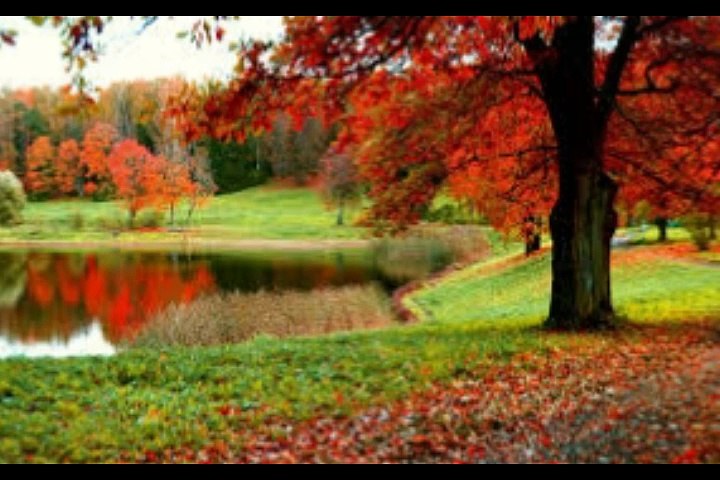 Non Stop 42 Chutkule Chutkule 2016