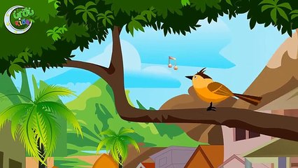 Bulbul Finger Family 3D and More | بلبل خاندان | Urdu Kids Rhymes Collection