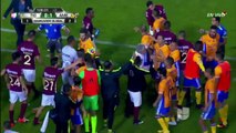 A Crazy Big Brawl Erupts During Tigres vs America!