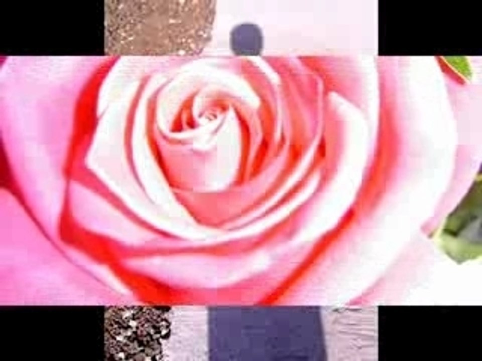DAS ROSAS