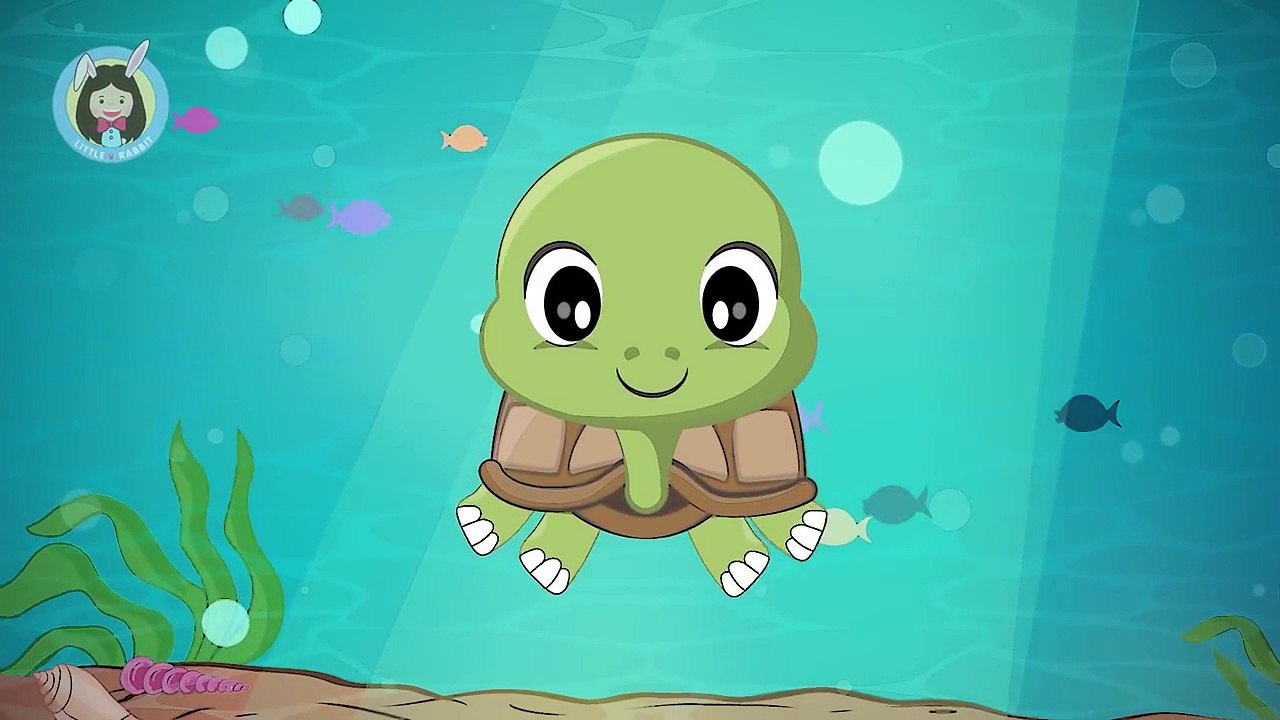 เพลงเต่า | เต่า มันมีสี่ขา | การ์ตูน เพลงเด็ก น่ารัก น่ารัก | Thai Kid Songs by Little Rabbit