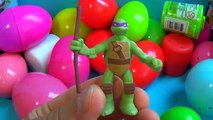 20 surprise eggs! Disney Cars Toy Story ANGRY BIRDS Littlest Pet Shop Ninja TURTLES The SMURFS!