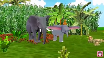 Elephant Vs Rhino Finger Family Songs | Colors for Children | Color Elephant Children Nursery Rhymes