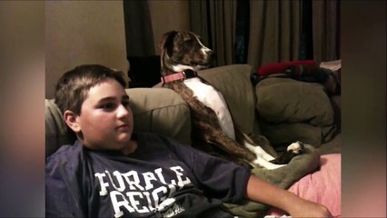 Ce soir on se matte walking dead avec mon pote