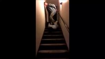 Il surf dans l'escalier sur son pote bourré