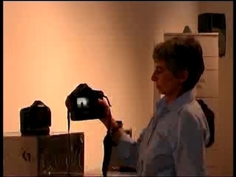 Canon EOS 1 DS Mark III e EOS 40D