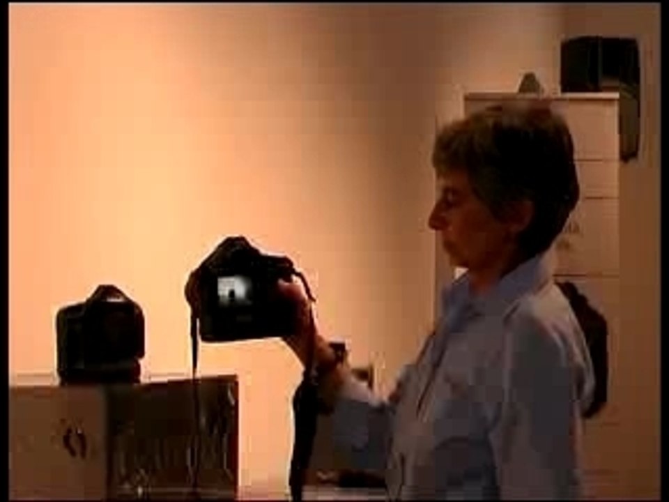 Canon EOS 1 DS Mark III e EOS 40D