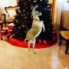 YESSSS!!!! Dale  me gusta  si estas listo para La Navidad