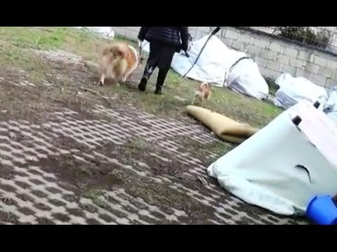 Aversa (CE) - Parchi pubblici, cittadini continuano a invocare maggiori controlli (23.12.16)