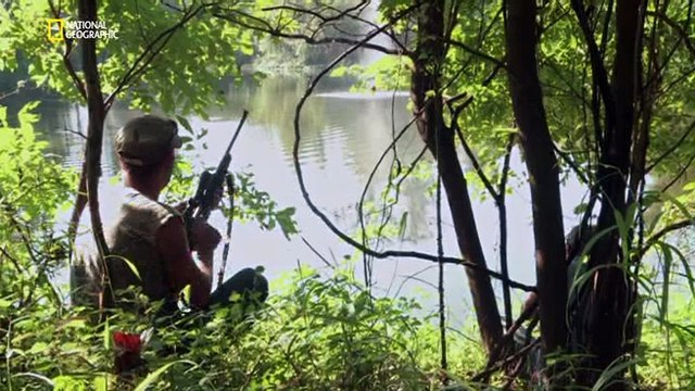 Борьба за территорию