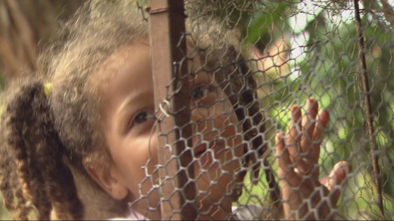 Unemployment and recession hitting Brazilians hard