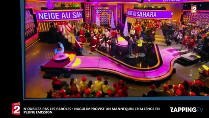 N’oubliez pas les paroles : Nagui improvise un Mannequin Challenge en pleine émission (Vidéo)