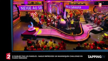 N’oubliez pas les paroles : Nagui improse un Mannequin Challenge en pleine émission (déo)