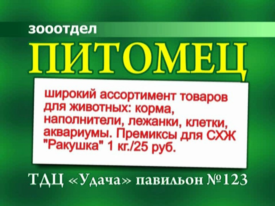 24-03.01_Питомец