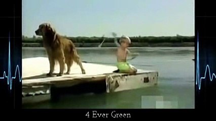animals dogs dangerous _12