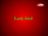 Lady Bird English Nursery Rhymes| Nursery Rhymes & Kids Songs | Kids Education| animated nursery rhyme for children| Full HD