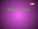 Mulberry Bush English Nursery Rhymes| Nursery Rhymes & Kids Songs | Kids Education| animated nursery rhyme for children| Full HD