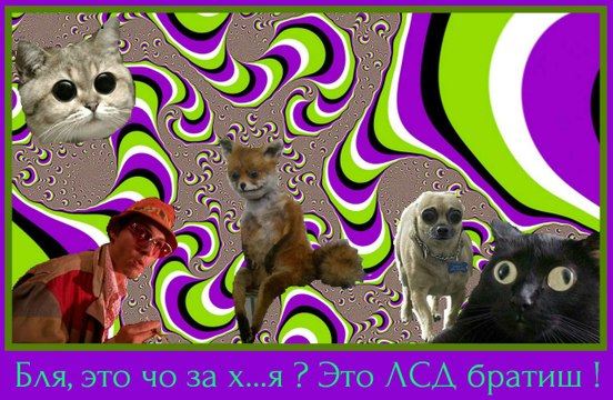 Musical Nation жесть что он творит трек-шедевр!!!С 3:30 мин.вообще пздц !!!