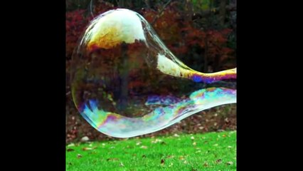 Спорим на 100 рублей что ты залипнешь Самое залипательное видео