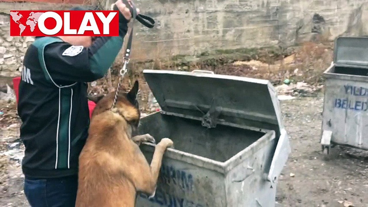 Alfa iş başında!