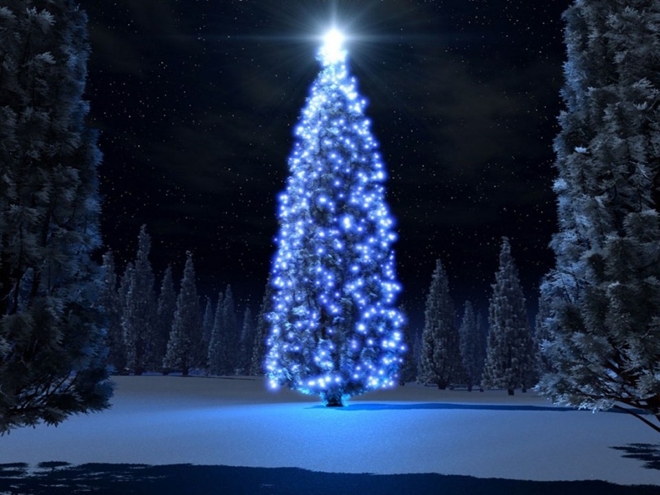 FELICITACION **NAVIDAD** (2016)