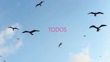 TODOS  00  LIFE LOVE LOSE