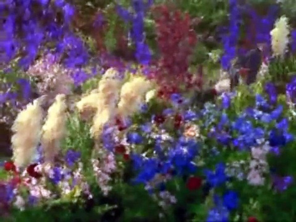 Ария - Возьми мое сердце