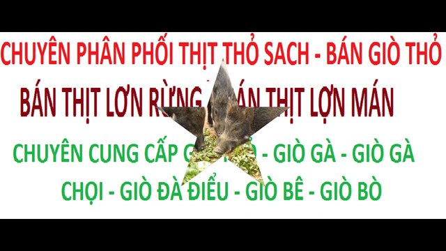 bán gà đông tảo - chuyên bán gà đông tảo - bán lợn rừng - bán lợn mán - bán thịt thỏ, thịt thỏ sach (7)